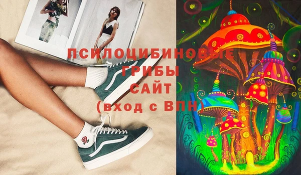 сатива Краснослободск