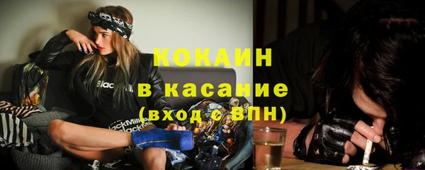 сатива Краснослободск