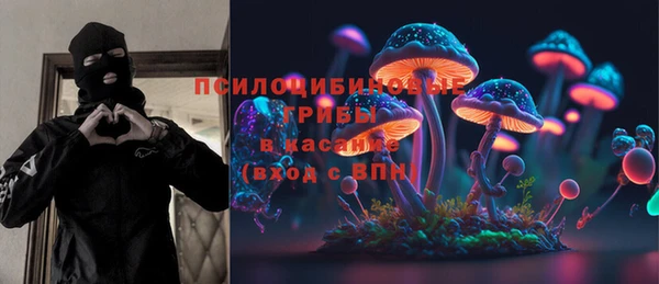 сатива Краснослободск