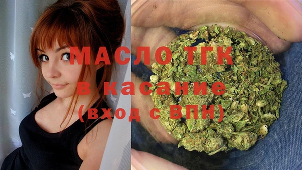сатива Краснослободск