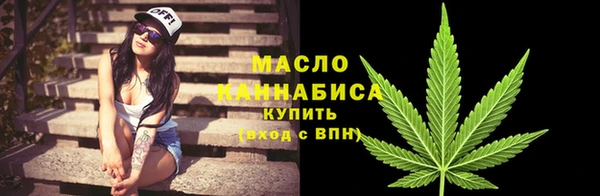 сатива Краснослободск