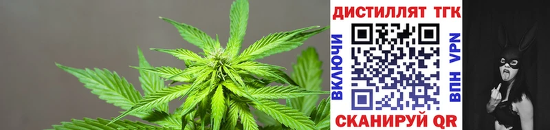 Дистиллят ТГК вейп  Купить  Саки 